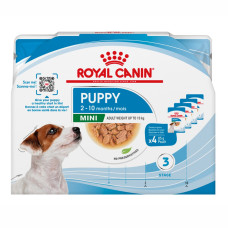 Royal Canin Mini Puppy Pack 